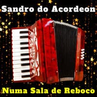 Sandro do Acordeon