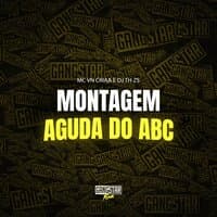 Montagem Aguda do Abc