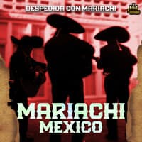 Despedida Con Mariachi