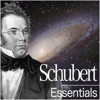 Schubert: 6 Moments musicaux, Op. 94, D. 780: No. 3 in F Minor