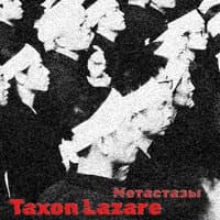 Taxon Lazare