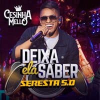 DEIXA ELA SABER SERESTA 5.0 CESINHA MELLO