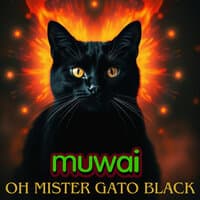 Oh, Mister Gato Black