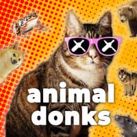 Animal Donks