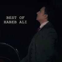 Best Of Habeb Ali