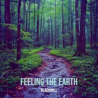 Feeling the Earth