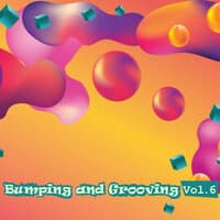 Bumping and Grooving, Vol. 6