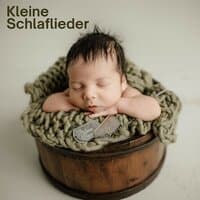 Kleine Schlaflieder