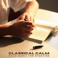 Classical Calm: Deep Focus Tracks