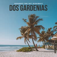 Dos Gardenias