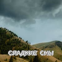 СЛАДКИЕ СНЫ