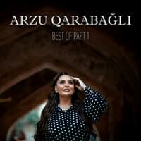 Arzu Qarabagli