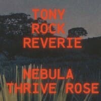 Nebula Thrive Rose