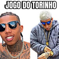 Jogo do Torinho