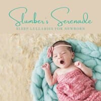 Slumbers Serenade: Sleep Music