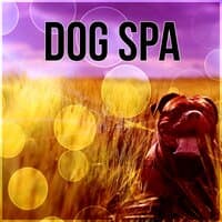 Dog Spa – Calming Music to Relax and Calm Down Your Dog, Pet Relaxation, Stress Relief, Anxiety Medication, Sleep Aids, Music Therapy for Dogs, Comfort and Happiness with Nature Sounds