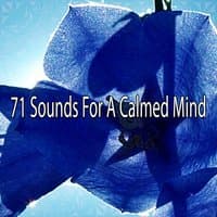 71 Sounds For A Calmed Mind