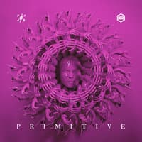 PRIMITIVE