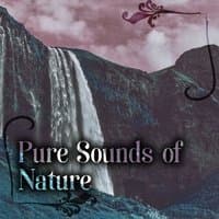 Pure Sounds of Nature – Watre Sounds and Soothing Music for Relaxation