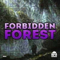 Forbidden Forest