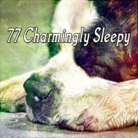 77 Charmingly Sleepy