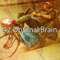 42 Optimal Brain