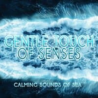 Gentle Touch of Senses - Calming Sounds of the Sea, Relaxation & Meditation, Sentimental Mood with Sound of Rain, Instrumental Music with Nature Sounds for Massage Therapy, Crystal Spa