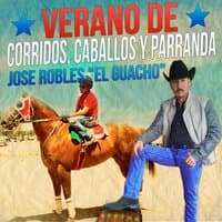 Verano de Corridos, Caballos Y Parranda