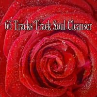 66 Tracks Track Soul Cleanser