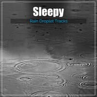 #17 Sleepy Rain Droplet Tracks from Nature