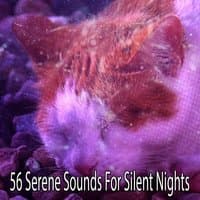 56 Serene Sounds For Silent Nights