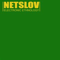 Electronic Ethnology