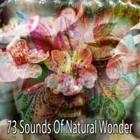 73 Sounds of Natural Wonder