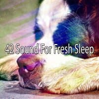 42 Sound For Fresh Sleep