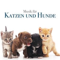 Musik für Katzen und Hunde: Entspannende Musik für Ihre Haustiere, Hunde, Katzen