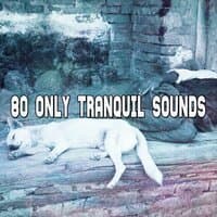 80 Only Tranquil Sounds