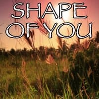 Shape Of You - Tribute to Ed Sheeran and Stormzy