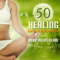 50 Healing Nature Sounds for Deep Meditation: Guided Yoga Exercises & Mindfulness, Chakra Healing, Asian Spa Massage, Yoga Poses, Stress Relief, New Age Music for Soothe Your Soul, Aid Sleep