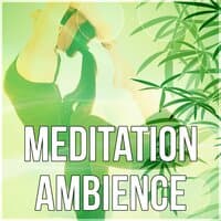 Meditation Ambience - Music for Stress Relief, Relaxation, Study, Reiki, Yoga, Spa, Massage, Sounds of Nature for Sleeping