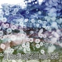 50 Natural Inspiration Audio Tracks