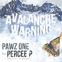 Avalanche Warning