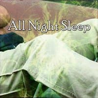 All Night Sleep