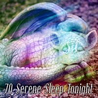 70 Serene Sleep Tonight