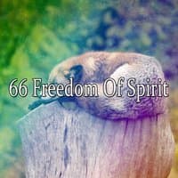 66 Freedom Of Spirit