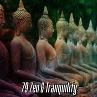 79 Zen & Tranquility