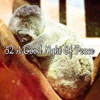 52 A Good Night Of Peace