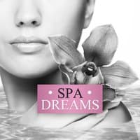 Spa Dreams – Healing Spa Moments, Calming Nature Sounds for Deep Relax, Calm Down Emotions and Enjoy Your Life