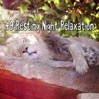 49 Resting Night Relaxation