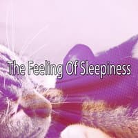 The Feeling Of Sleepiness