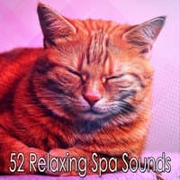 52 Relaxing Spa Sounds